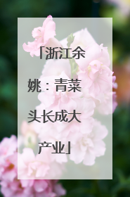 浙江余姚：青菜头长成大产业