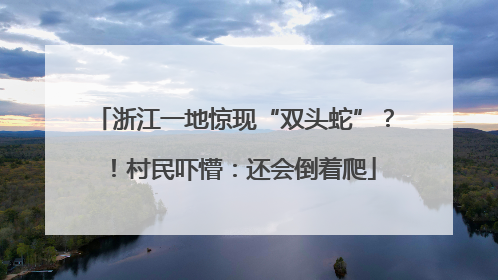 浙江一地惊现“双头蛇”？！村民吓懵：还会倒着爬