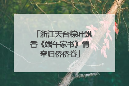浙江天台粽叶飘香《端午家书》情牵归侨侨眷