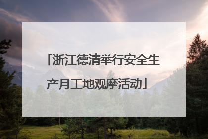 浙江德清举行安全生产月工地观摩活动