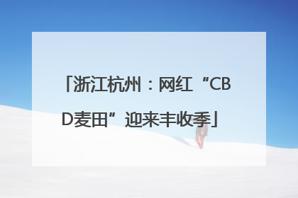 浙江杭州：网红“CBD麦田”迎来丰收季