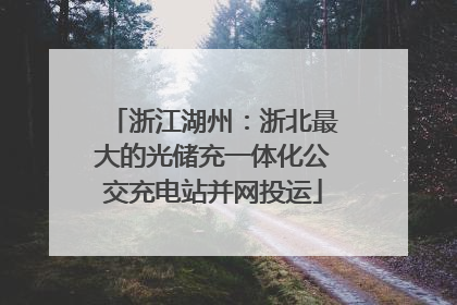 浙江湖州：浙北最大的光储充一体化公交充电站并网投运