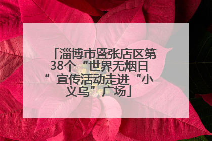 淄博市暨张店区第38个“世界无烟日”宣传活动走进“小义乌”广场