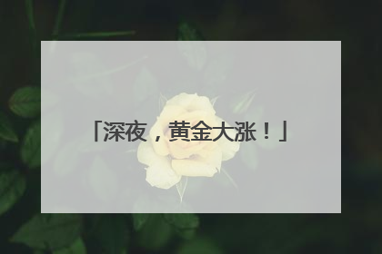 深夜，黄金大涨！