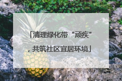 清理绿化带“顽疾”，共筑社区宜居环境