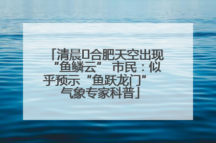 清晨﻿合肥天空出现“鱼鳞云” 市民：似乎预示“鱼跃龙门” 气象专家科普