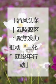 清风头条｜武陵源区：聚焦发力推动“三化”建设年行动