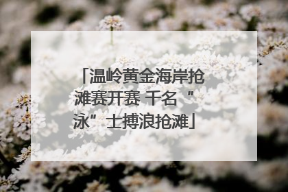 温岭黄金海岸抢滩赛开赛 千名“泳”士搏浪抢滩