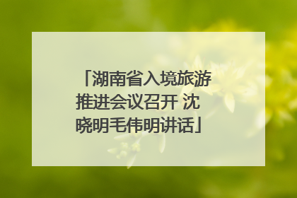 湖南省入境旅游推进会议召开 沈晓明毛伟明讲话