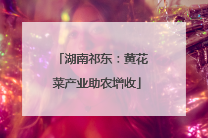 湖南祁东：黄花菜产业助农增收