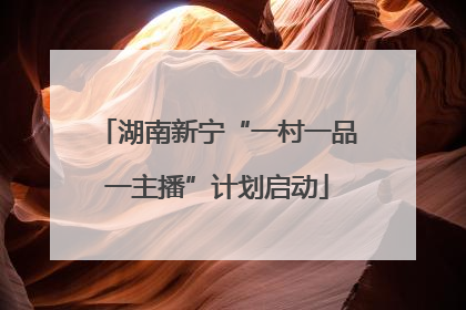 湖南新宁“一村一品一主播”计划启动