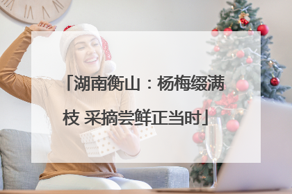 湖南衡山：杨梅缀满枝 采摘尝鲜正当时