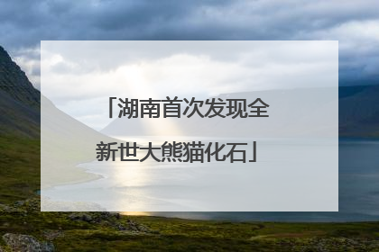湖南首次发现全新世大熊猫化石