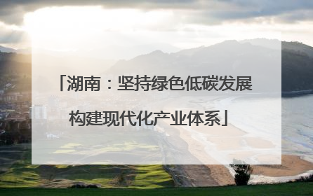 湖南：坚持绿色低碳发展 构建现代化产业体系