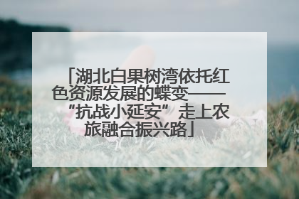 湖北白果树湾依托红色资源发展的蝶变——“抗战小延安”走上农旅融合振兴路