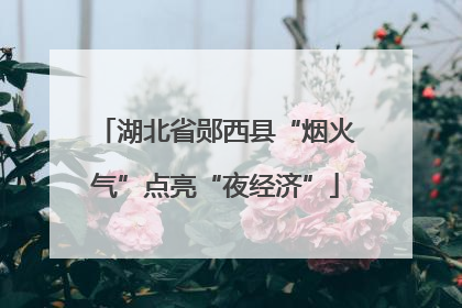 湖北省郧西县“烟火气”点亮“夜经济”
