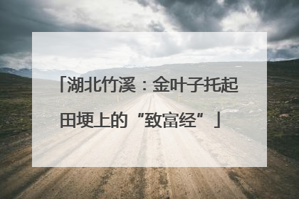 湖北竹溪：金叶子托起田埂上的“致富经”