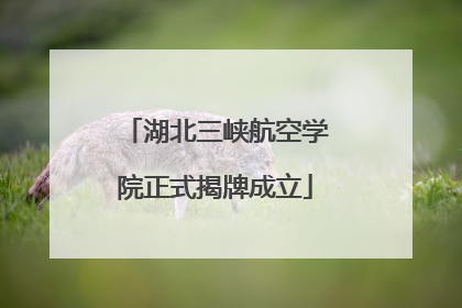 湖北三峡航空学院正式揭牌成立