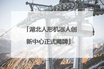 湖北人形机器人创新中心正式揭牌