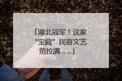湖北冠军！这家“宝藏”民宿文艺范拉满……