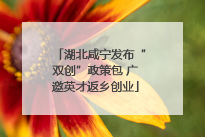 湖北咸宁发布“双创”政策包 广邀英才返乡创业