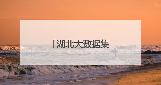 湖北大数据集团正式成立