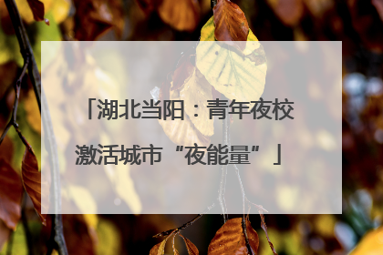 湖北当阳：青年夜校激活城市“夜能量”