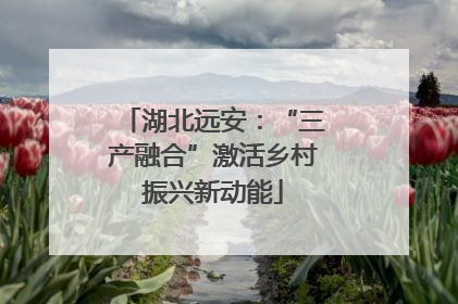 湖北远安：“三产融合”激活乡村振兴新动能