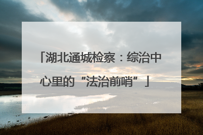 湖北通城检察：综治中心里的“法治前哨”