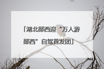 湖北郧西迎“万人游郧西”自驾首发团