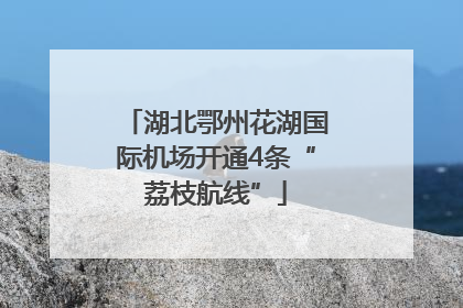 湖北鄂州花湖国际机场开通4条“荔枝航线”