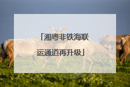 湘粤非铁海联运通道再升级