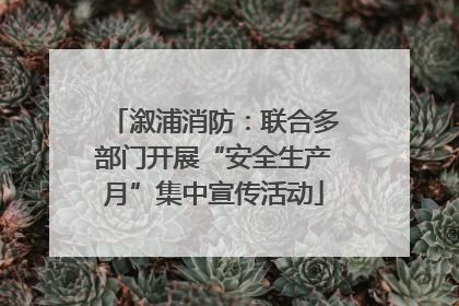 溆浦消防：联合多部门开展“安全生产月”集中宣传活动