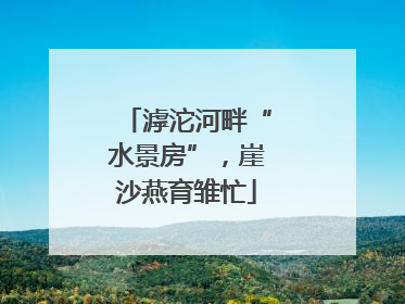 滹沱河畔“水景房”，崖沙燕育雏忙