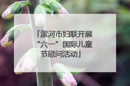 漯河市妇联开展“六一”国际儿童节慰问活动