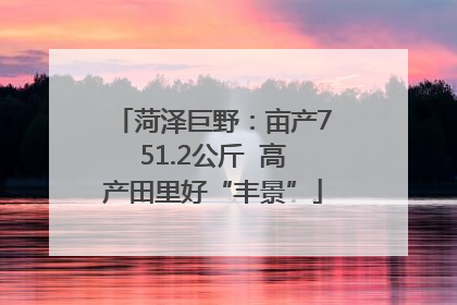 菏泽巨野：亩产751.2公斤  高产田里好“丰景”