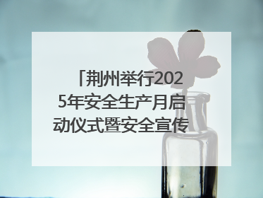 荆州举行2025年安全生产月启动仪式暨安全宣传咨询日活动