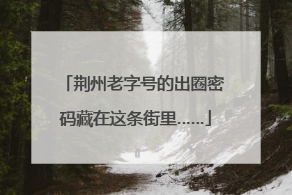 荆州老字号的出圈密码藏在这条街里……