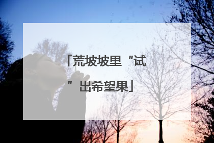 荒坡坡里“试”出希望果