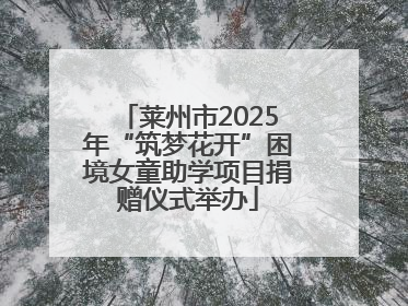 莱州市2025年“筑梦花开”困境女童助学项目捐赠仪式举办