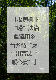 老枣树下“唠”法治 临泽用乡音乡情“烹”出普法“暖心宴”