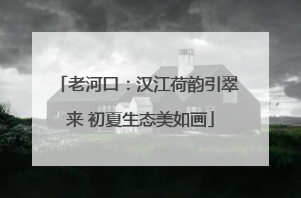 老河口：汉江荷韵引翠来 初夏生态美如画