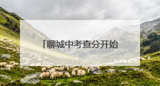 聊城中考查分开始！附查询方式→