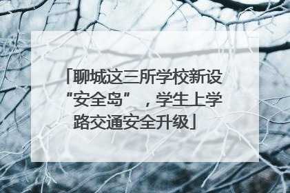 聊城这三所学校新设“安全岛”，学生上学路交通安全升级