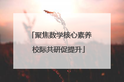 聚焦数学核心素养 校际共研促提升
