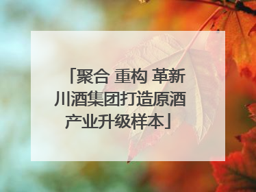 聚合 重构 革新 川酒集团打造原酒产业升级样本