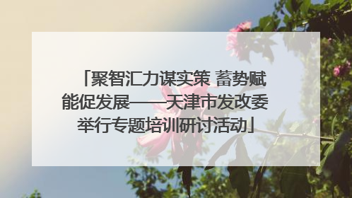 聚智汇力谋实策 蓄势赋能促发展——天津市发改委举行专题培训研讨活动