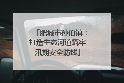 肥城市孙伯镇：打造生态河道筑牢汛期安全防线