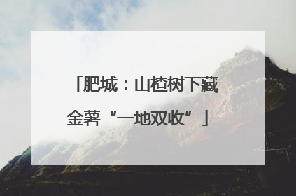 肥城：山楂树下藏金薯“一地双收”