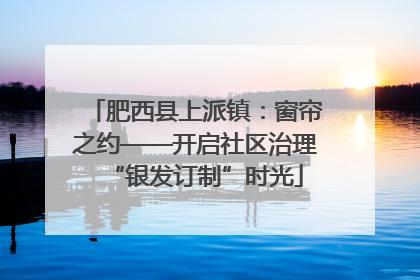 肥西县上派镇：窗帘之约——开启社区治理“银发订制”时光
